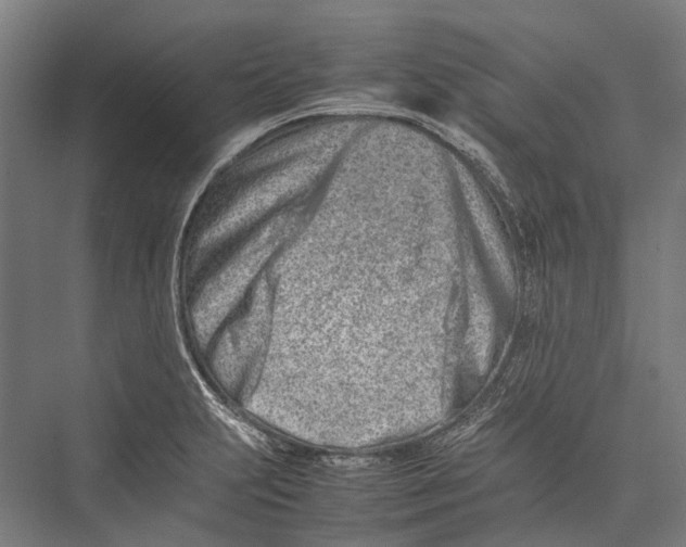 X0000075361231200610061738