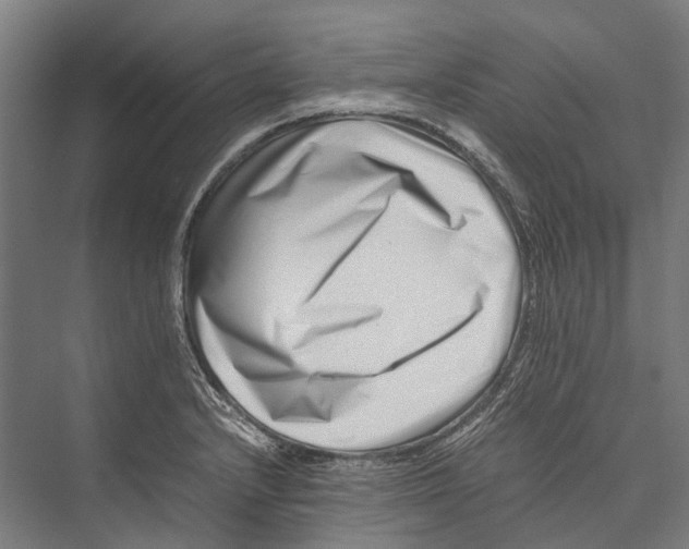 X0000075361232200610061738