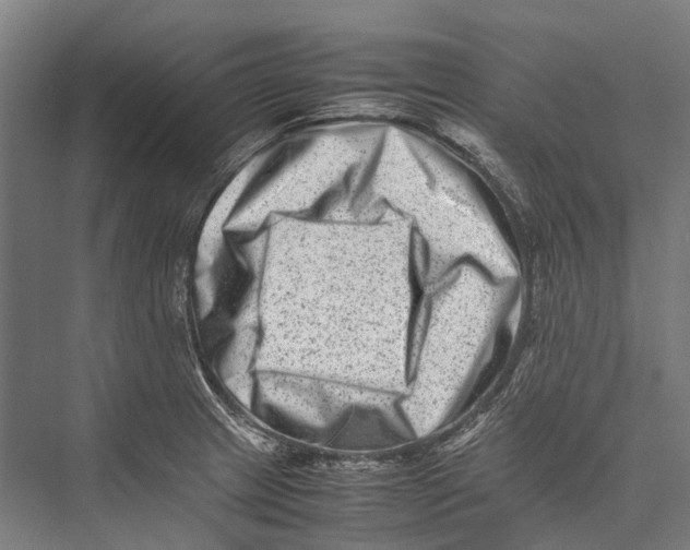 X0000075361233200610061738