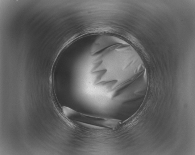 X0000075361234200610061738