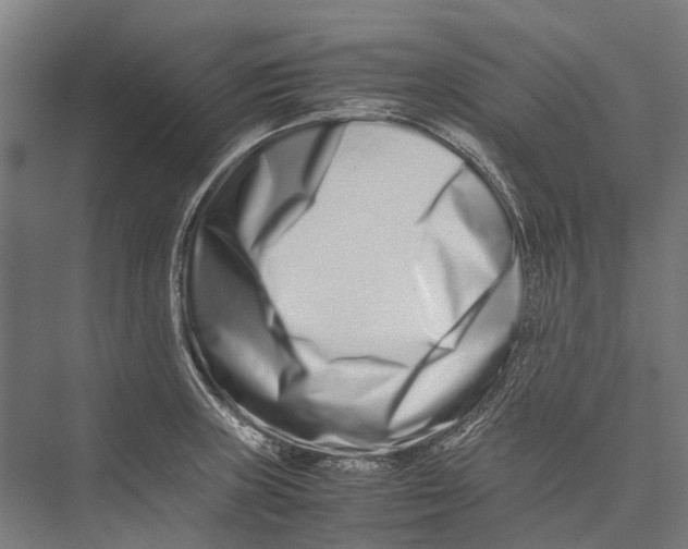 X0000075361235200610061738