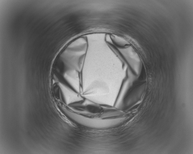 X0000075361236200610061738