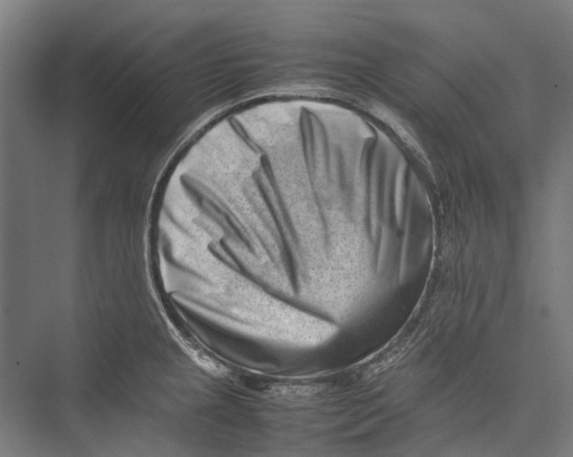 X0000075361237200610061738