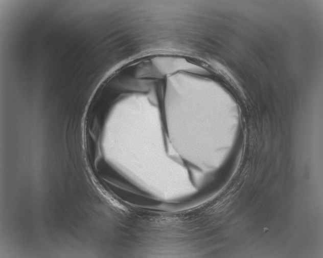 X0000075361238200610061738