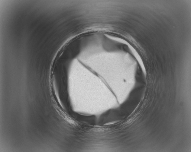 X0000075361240200610061738