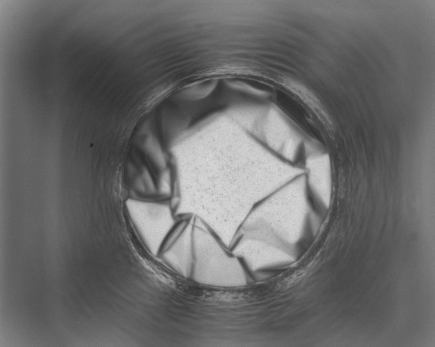 X0000075361241200610061738