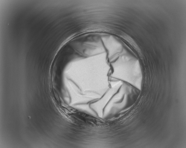 X0000075361242200610061738