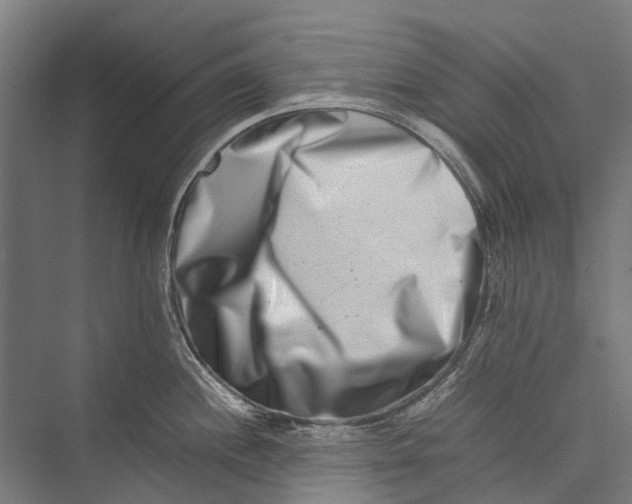 X0000075361244200610061738