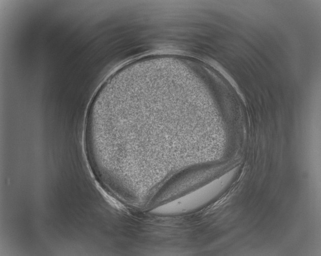 X0000075361245200610061738