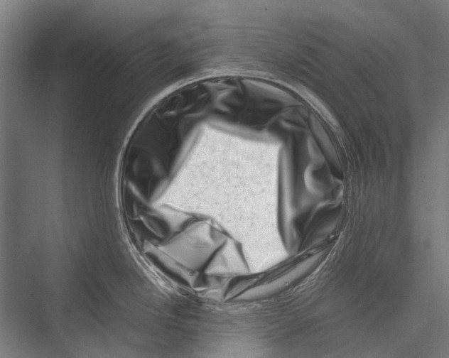 X0000075361246200610061738