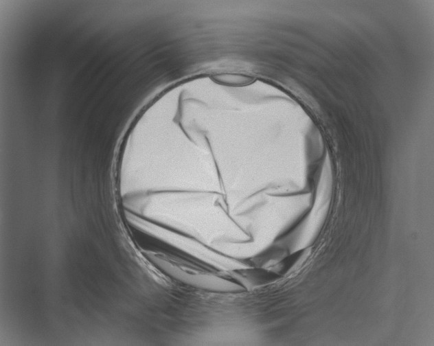 X0000075361248200610061738