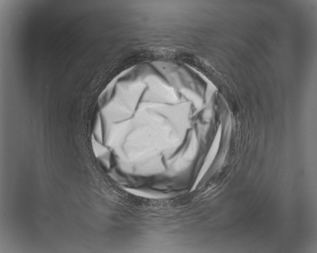 X0000075361249200610061738