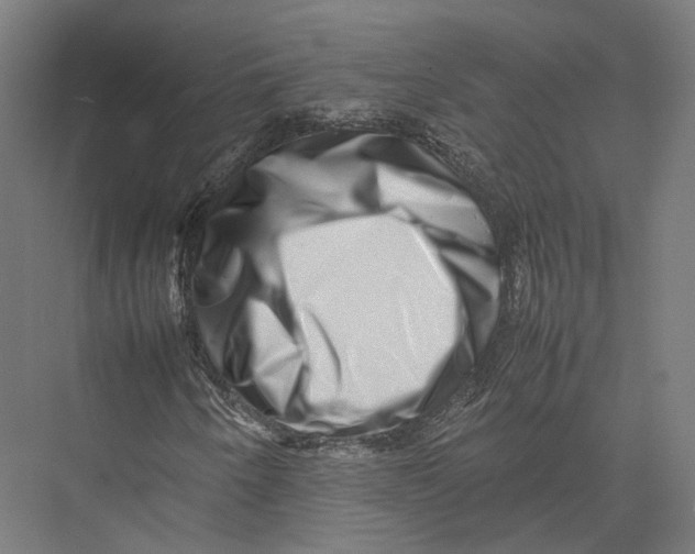 X0000075361250200610061738