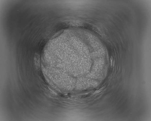 X0000075361251200610061738