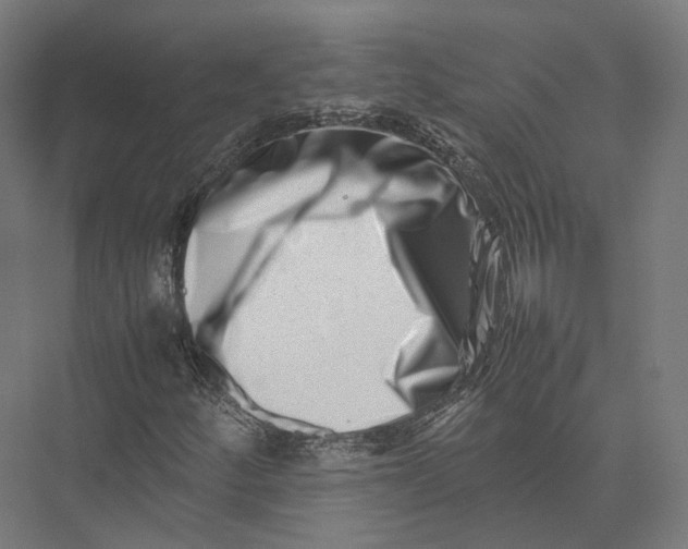 X0000075361252200610061738