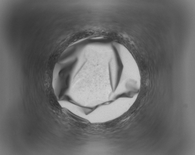 X0000075361253200610061738