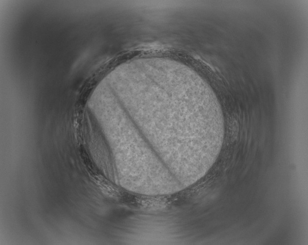 X0000075361254200610061738