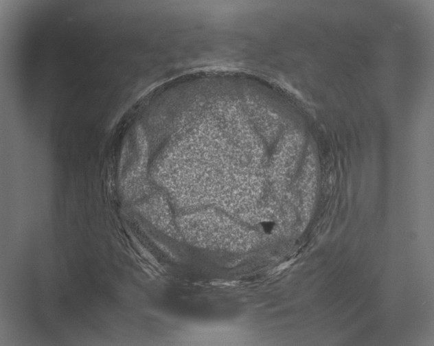 X0000075361255200610061738