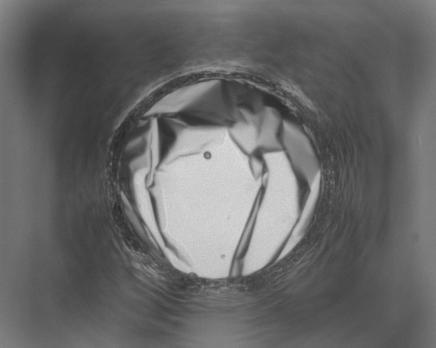 X0000075361256200610061738