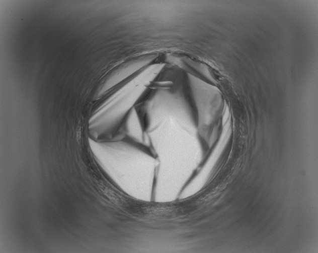 X0000075361257200610061738