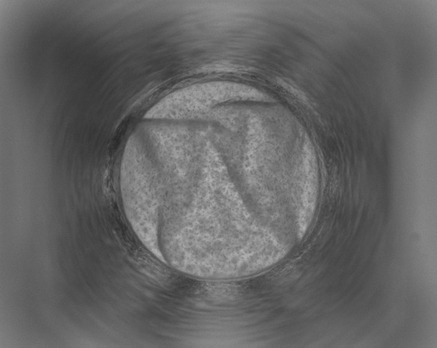 X0000075361258200610061738