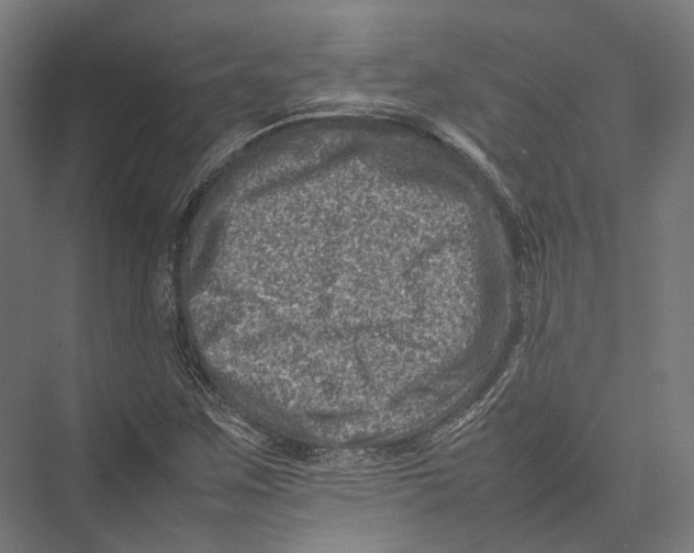 X0000075361259200610061737