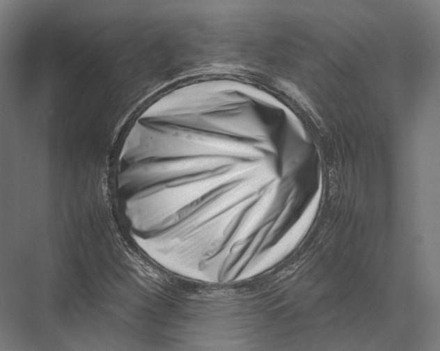 X0000075361260200610061737