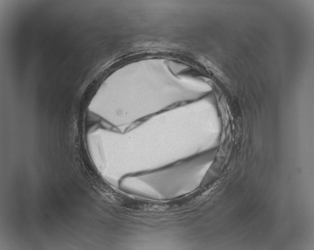 X0000075361261200610061737