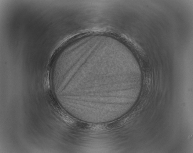 X0000075361262200610061737