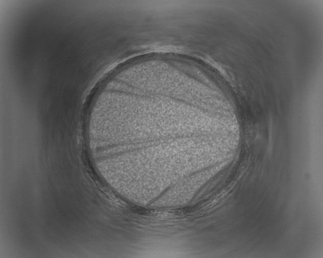 X0000075361263200610061737