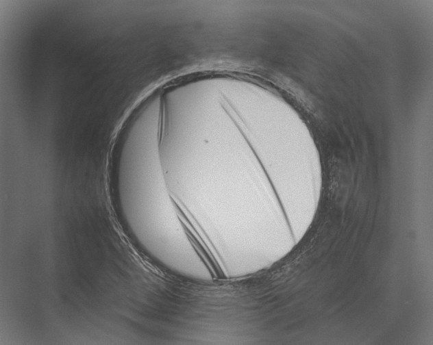 X0000075361264200610061737