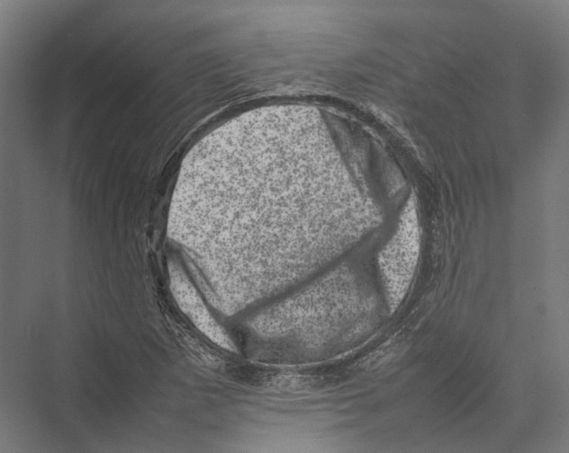 X0000075361265200610061737