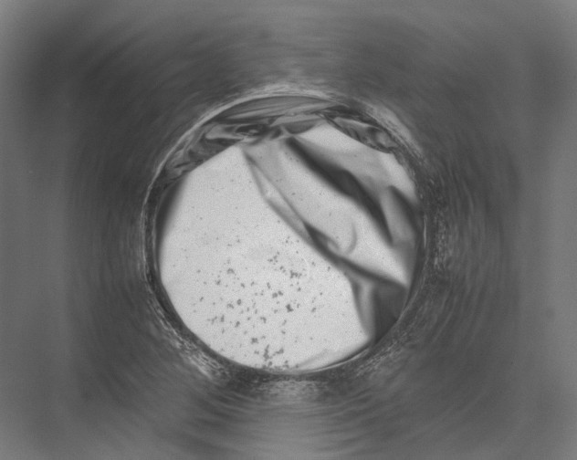 X0000075361268200610061737