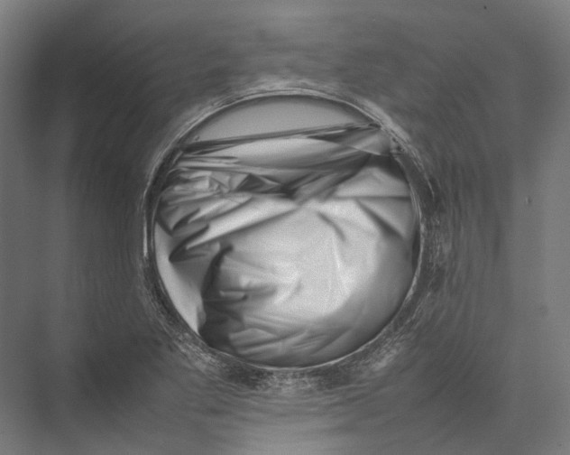 X0000075361269200610061737