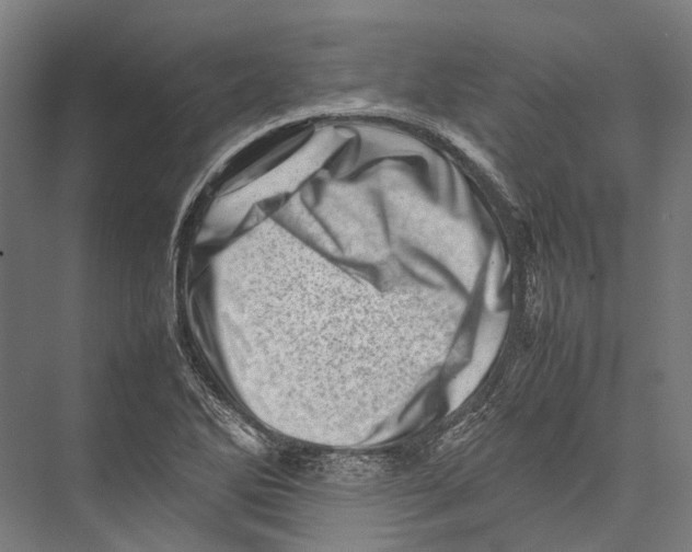 X0000075361270200610061737