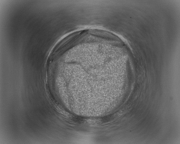 X0000075361271200610061737