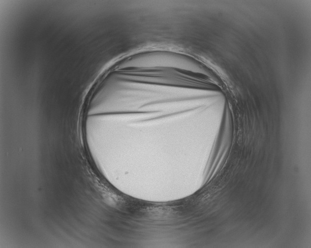 X0000075361272200610061737