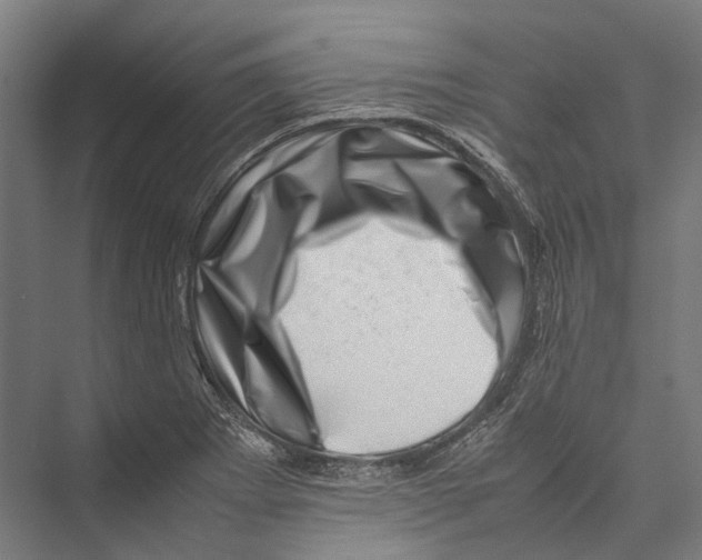 X0000075361273200610061737