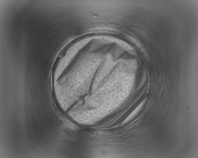 X0000075361275200610061737