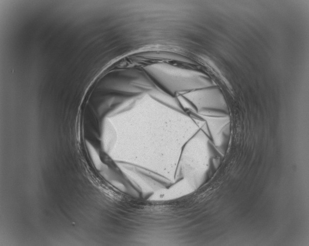 X0000075361276200610061737