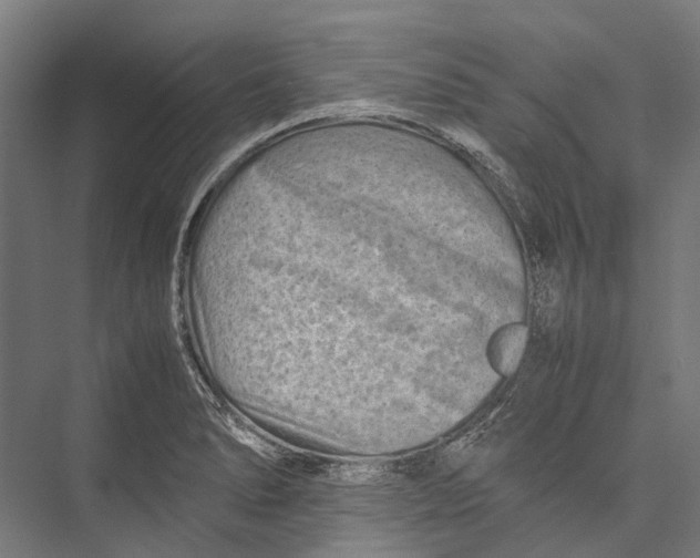 X0000075361278200610061737