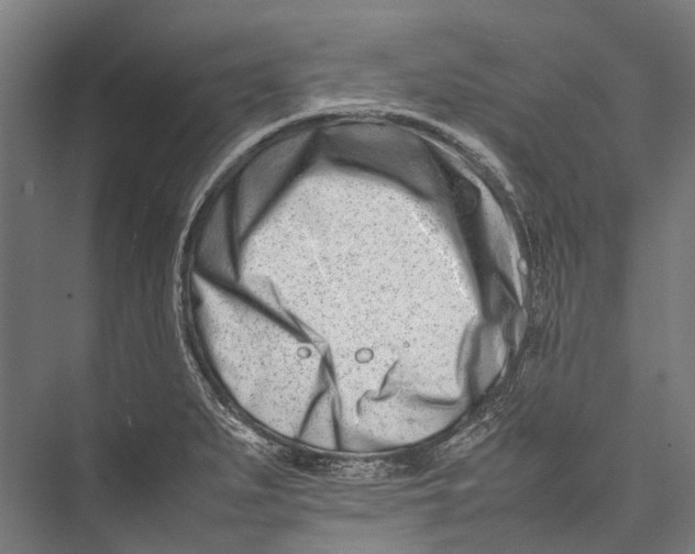 X0000075361279200610061737