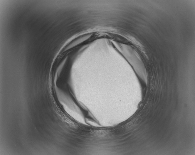 X0000075361280200610061737