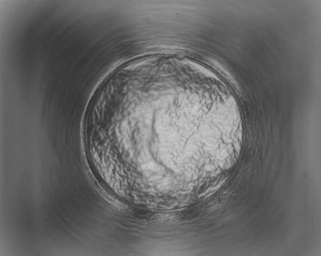 X0000075361283200610061737