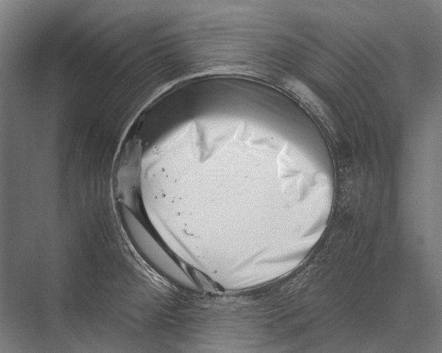 X0000075361284200610061737