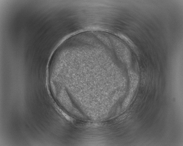 X0000075361286200610061737