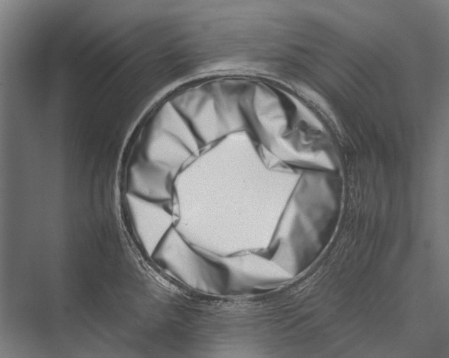 X0000075361288200610061737