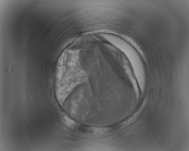 X0000075361289200610061737