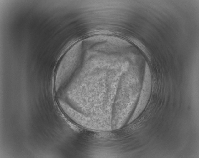 X0000075361290200610061737