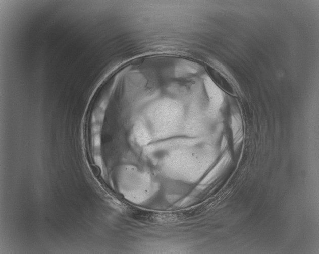 X0000075361291200610061737